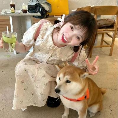 鬣狗式生存日版