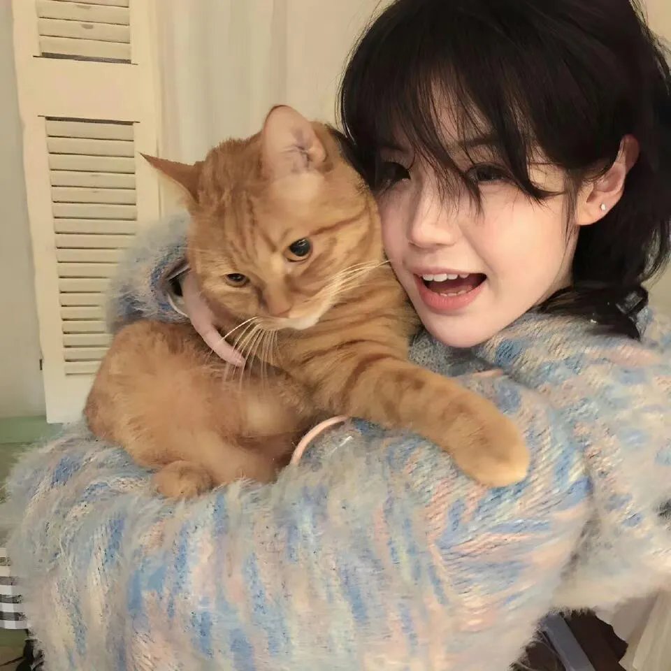 喷嚏熊猫